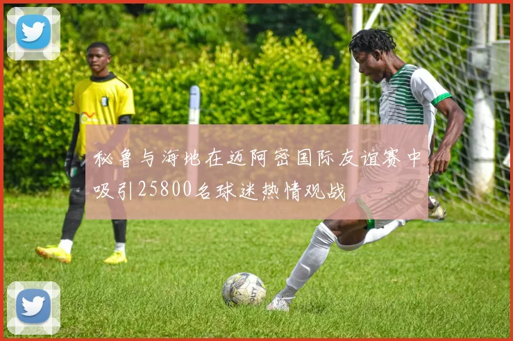 秘鲁与海地在迈阿密国际友谊赛中吸引25800名球迷热情观战