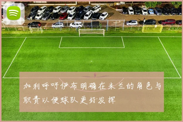 加利呼吁伊布明确在米兰的角色与职责以便球队更好发挥